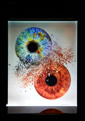 farbiges Glasbild einer Iris
