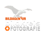 Logo von Bildagentur Bildkreis Fotografie